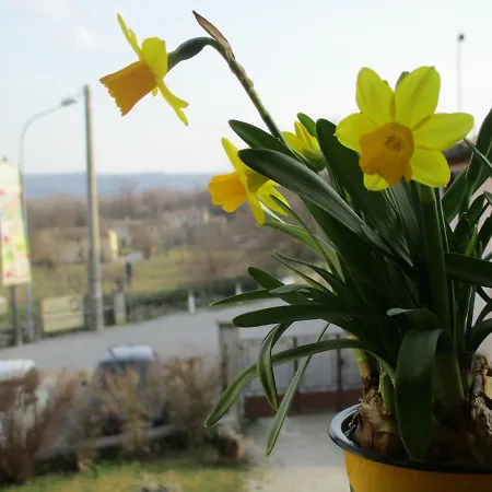 La Corte Di Ottorina Holiday home *